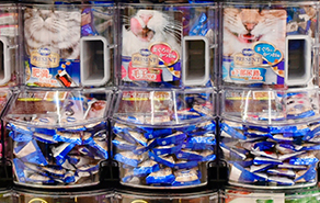 ペットフード 写真